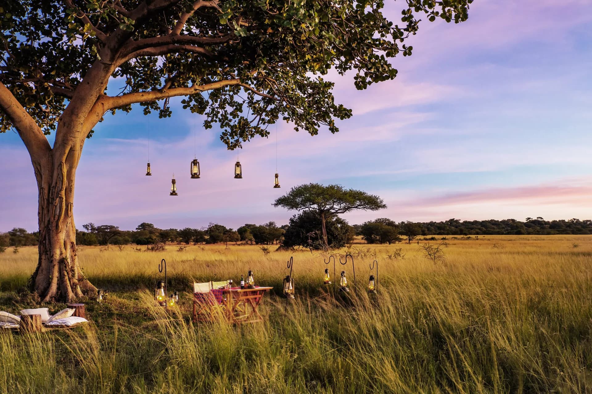 Outdoor bush dinner at dusk on the Serengeti, with a table for two, director's chairs, wine, and hanging lanterns under a large tree
